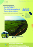 Kabupaten Bangka Selatan Dalam Angka 2022